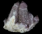 Cactus Quartz (Amethyst) Crystal Cluster - South Africa #64246-1